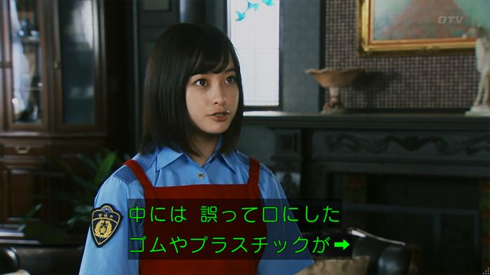 警視庁いきもの係 8話のキャプ335