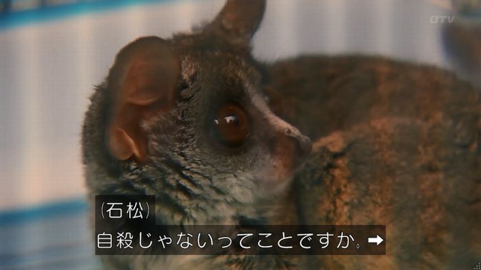 いきもの係 3話のキャプ273