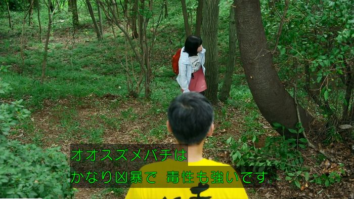 警視庁いきもの係 9話のキャプ569