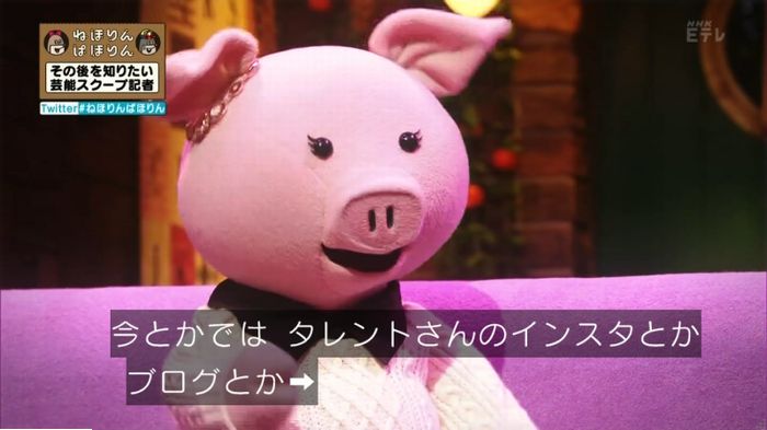 ねほりんぱほりんのキャプ498