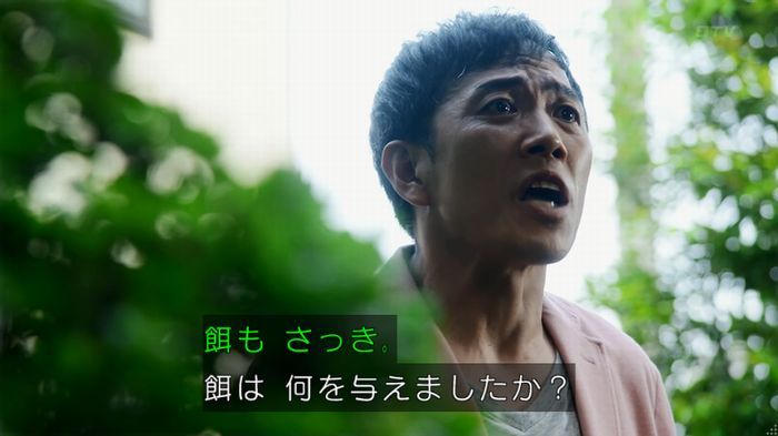 警視庁いきもの係 8話のキャプ317