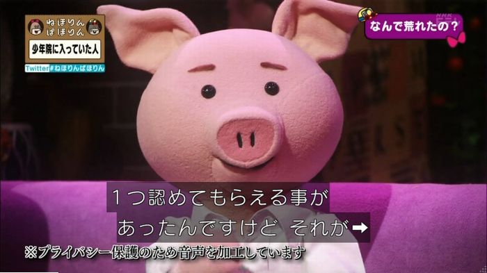 ねほりんぱほりんのキャプ45