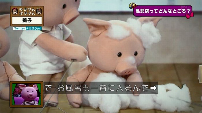 ねほりん 養子回のキャプ50
