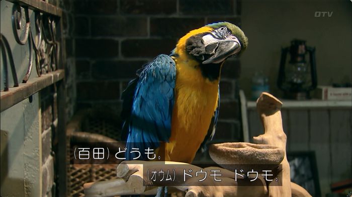 嘘の戦争 5話のキャプ196