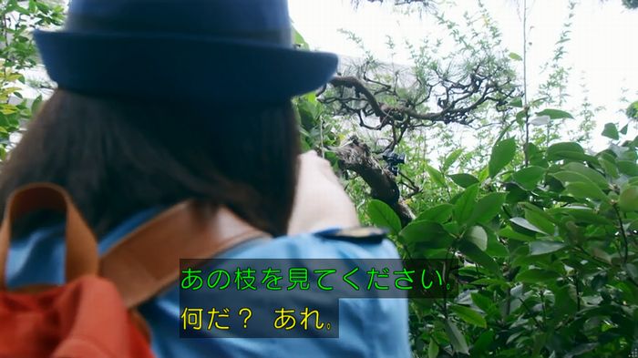 警視庁いきもの係 8話のキャプ498
