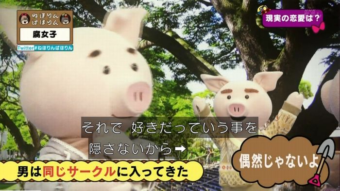 ねほりん腐女子回のキャプ482