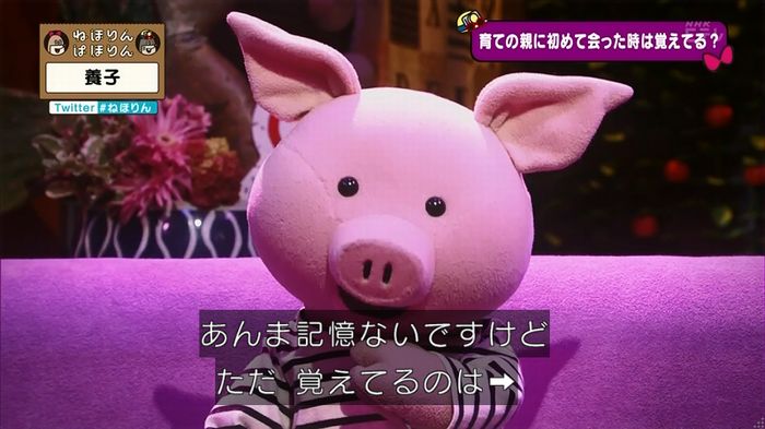 ねほりん 養子回のキャプ56