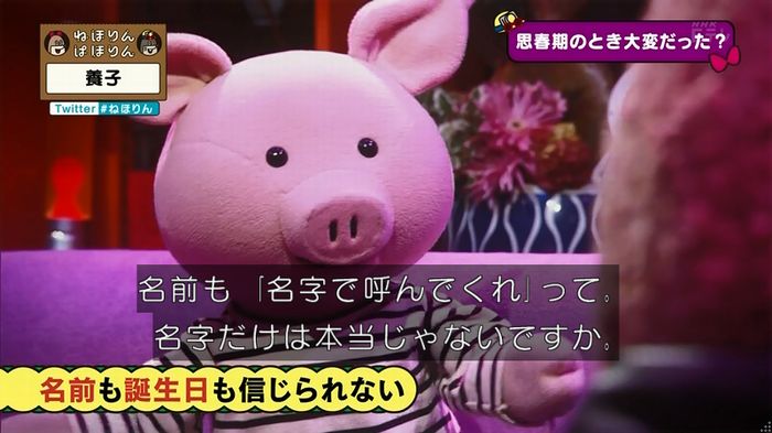 ねほりん 養子回のキャプ249