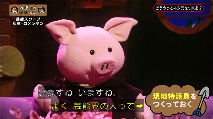 ねほりん 芸能スクープ回のキャプ68