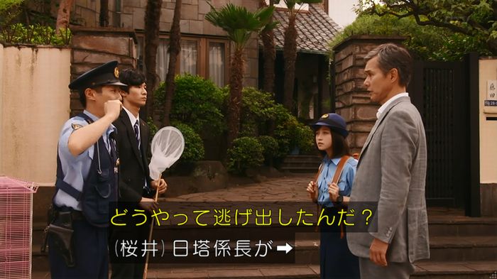 警視庁いきもの係 8話のキャプ572