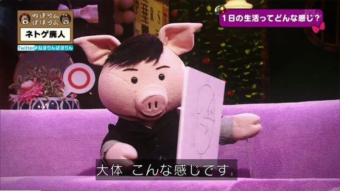 ねほりんネトゲ廃人のキャプ68