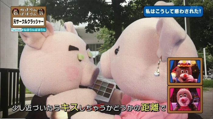 ねほりんぱほりん サークルクラッシャーのキャプ235