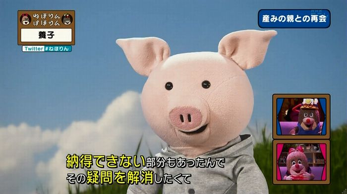 ねほりん 養子回のキャプ314