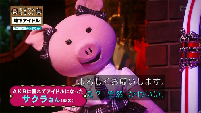 ねほりん 地下アイドル回のキャプ38