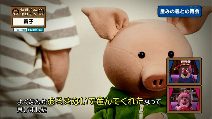 ねほりん 養子回のキャプ326