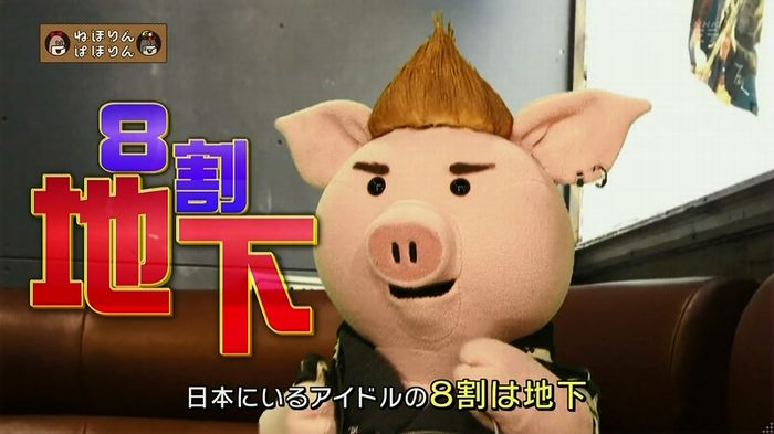 ねほりん 地下アイドル回のキャプ14