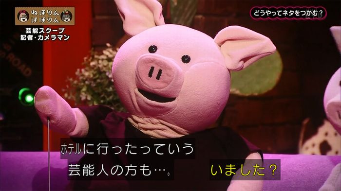 ねほりん 芸能スクープ回のキャプ42