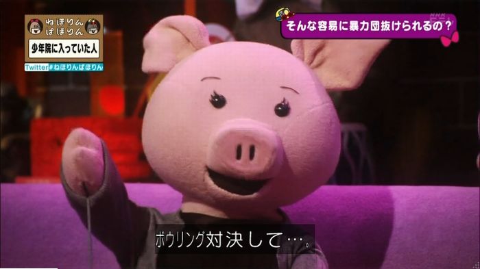 ねほりんぱほりんのキャプ274