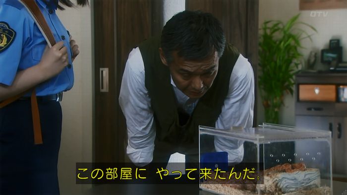 いきもの係 3話のキャプ389