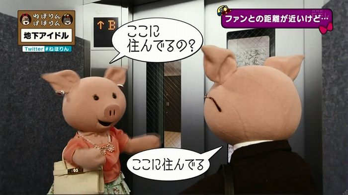 ねほりん 地下アイドル後編のキャプ131