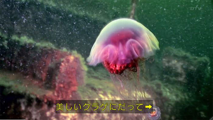 海月姫7話のキャプ540