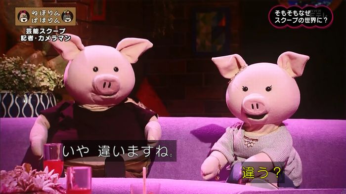 ねほりん 芸能スクープ回のキャプ253