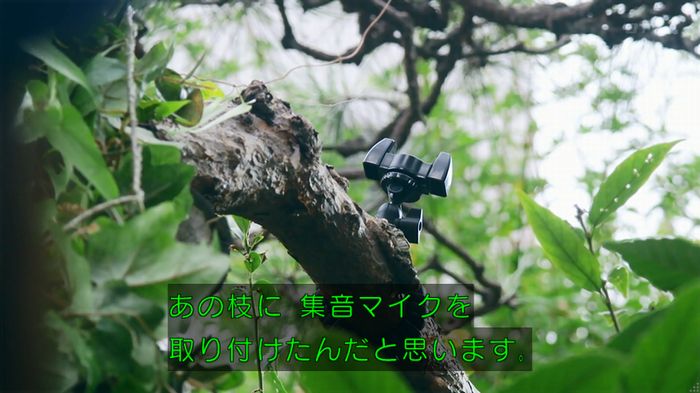 警視庁いきもの係 8話のキャプ508