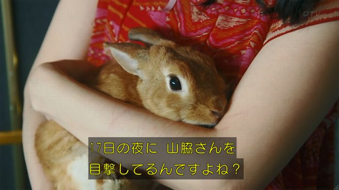 いきもの係 3話のキャプ364