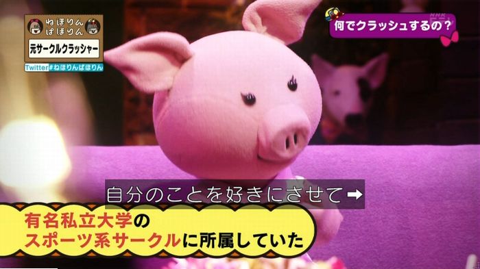 ねほりんぱほりん サークルクラッシャーのキャプ37
