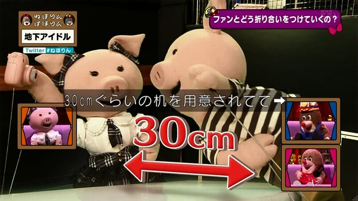 ねほりん 地下アイドル後編のキャプ259