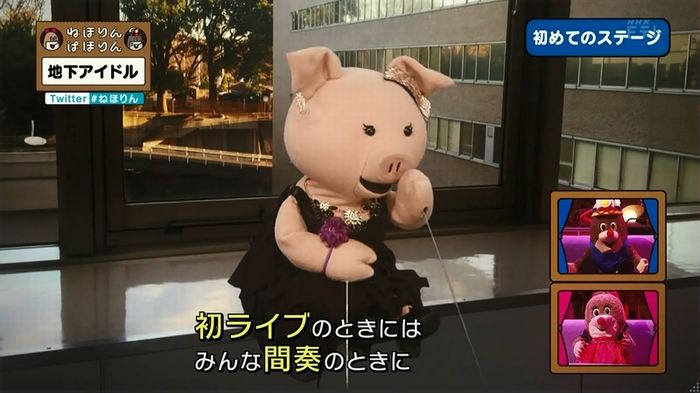 ねほりん 地下アイドル回のキャプ289