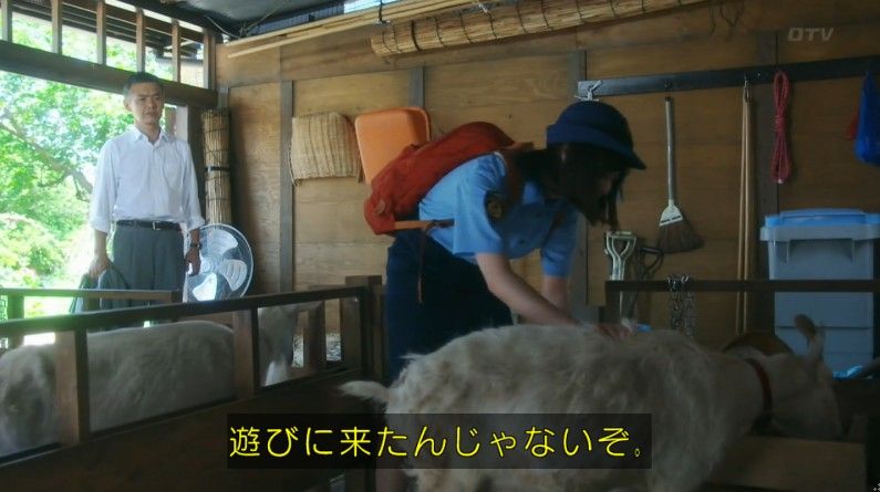 いきもの係 4話のキャプ235