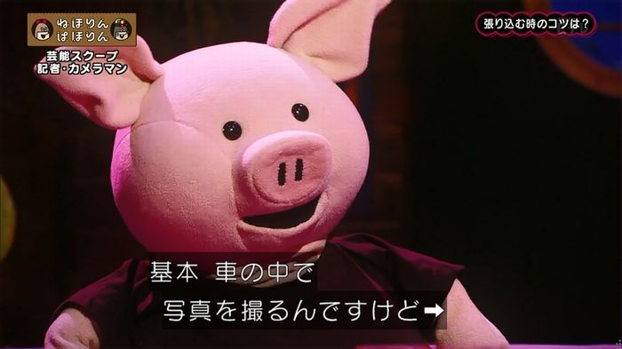 ねほりん 芸能スクープ回のキャプ124