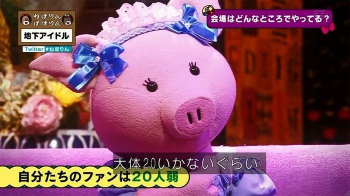 ねほりん 地下アイドル回のキャプ67