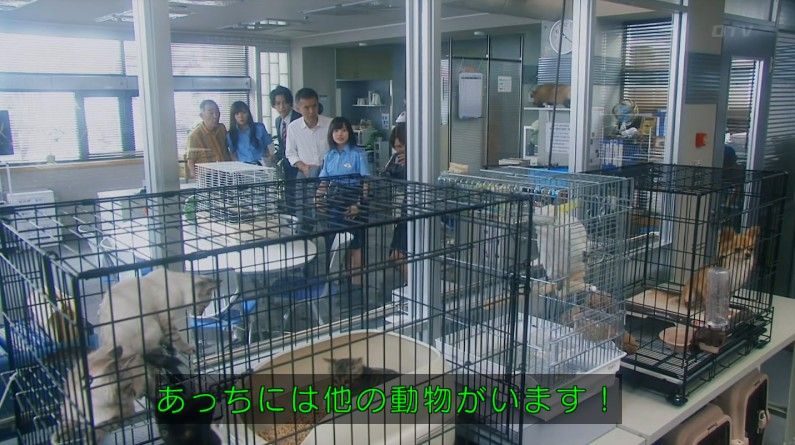 いきもの係 4話のキャプ121