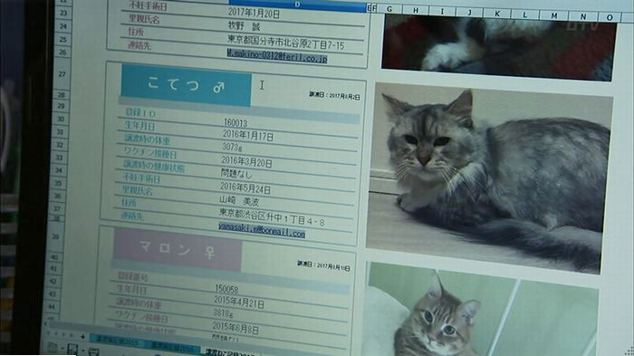 ウツボカズラの夢6話のキャプ206
