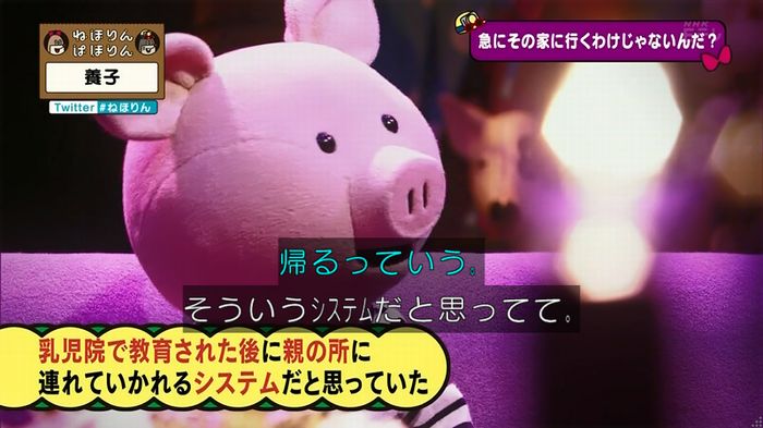 ねほりん 養子回のキャプ68