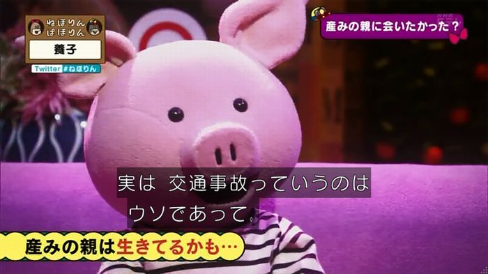 ねほりん 養子回のキャプ286