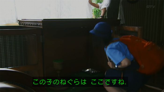 警視庁いきもの係 8話のキャプ211