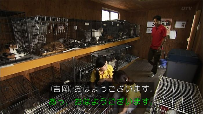 ウツボカズラの夢1話のキャプ386