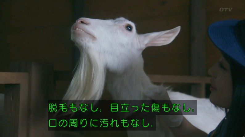 いきもの係 4話のキャプ248