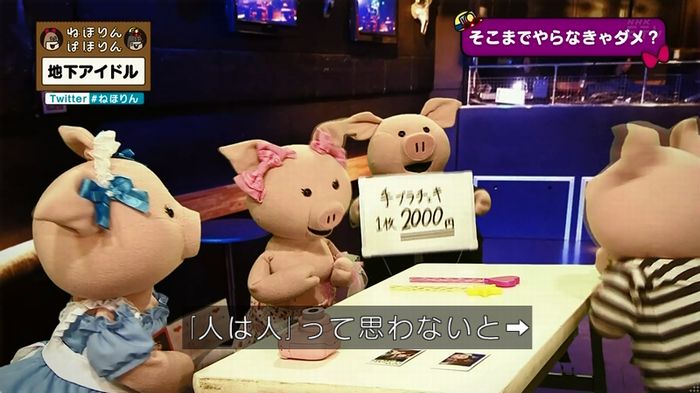 ねほりん 地下アイドル回のキャプ517