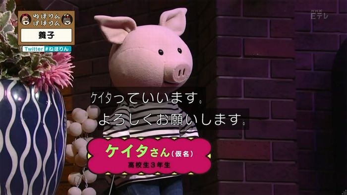 ねほりん 養子回のキャプ19