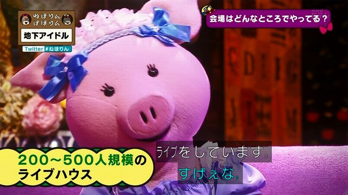 ねほりん 地下アイドル回のキャプ61
