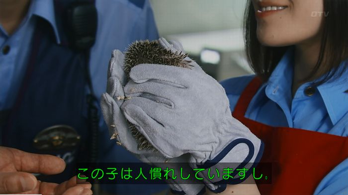 警視庁いきもの係 9話のキャプ175