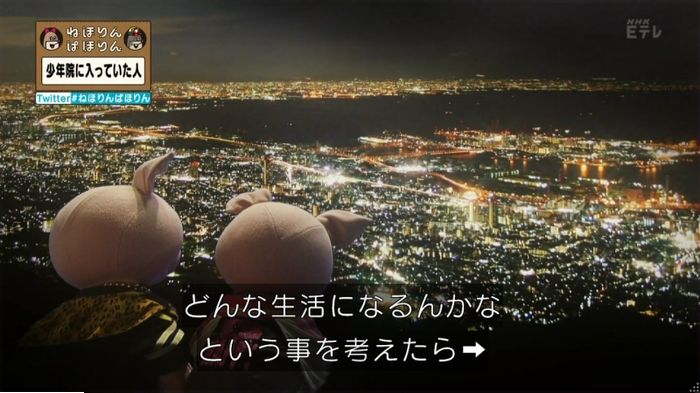 ねほりんぱほりんのキャプ248