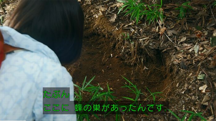 警視庁いきもの係 9話のキャプ576