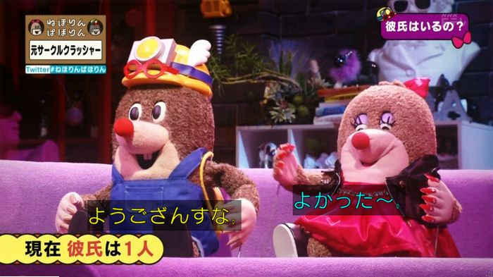 ねほりんぱほりん サークルクラッシャーのキャプ493