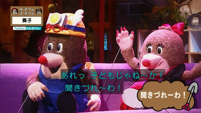 ねほりん 養子回のキャプ18
