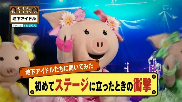 ねほりん 地下アイドル回のキャプ275